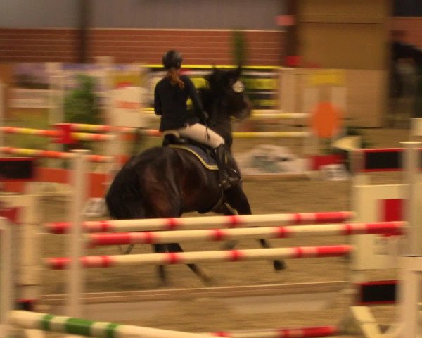 Reitturnier Iserlohn-Kalthof 2016