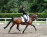 dressage horse Dark Princess C (German Riding Pony, 2010, from Fs Dr Watson)