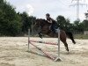 broodmare Jessi 61 (German Riding Pony, 2007, from Argentino 83)