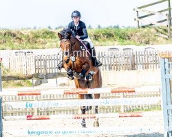 jumper Chiara 344 (Oldenburg show jumper, 2009, from Carenzo)