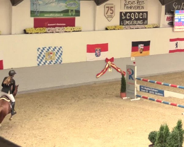 Legdener Ponymeeting 2016
