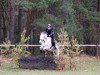 jumper Octopus (German Sport Horse, 2005, from Octavio)