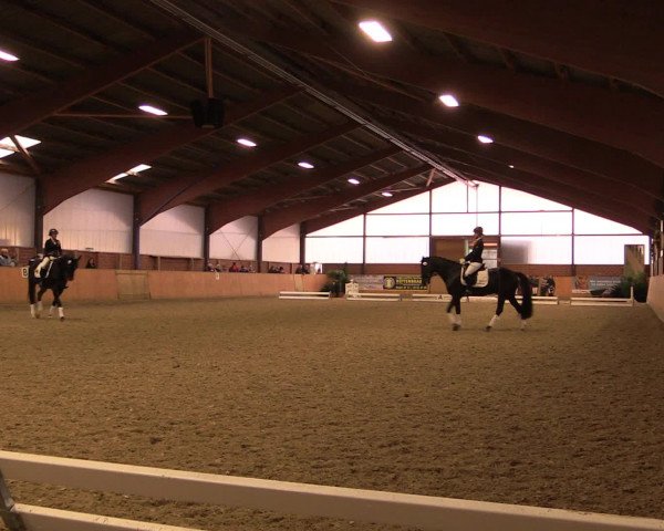 Reitturnier Iserlohn-Kalthof 2016