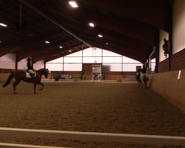 Reitturnier Iserlohn-Kalthof 2016