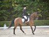 dressage horse Q seven (Zweibrücken, 2010, from Qui Lago)