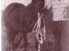 broodmare Chickasha Ann (Quarter Horse, 1954, from Chickasha Mike)