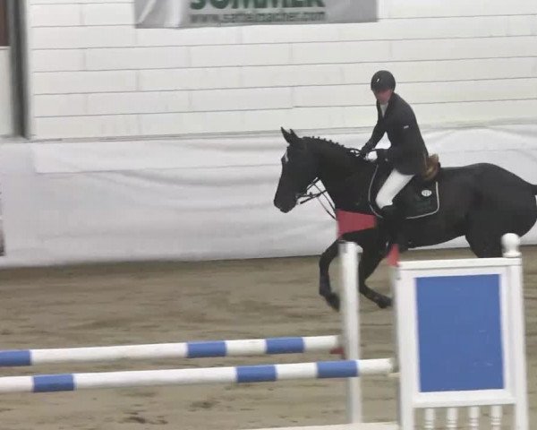 Late-Entry Zweibrücken 2016