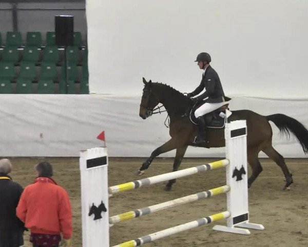 Late-Entry Zweibrücken 2016