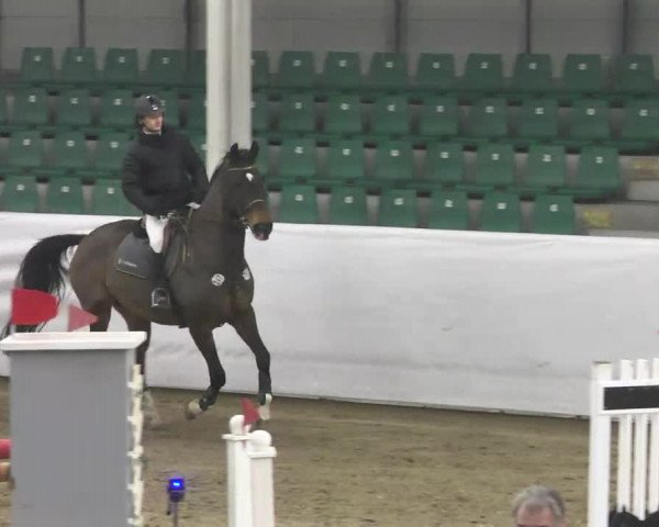 Late-Entry Zweibrücken 2016