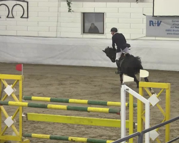 Late-Entry Zweibrücken 2016