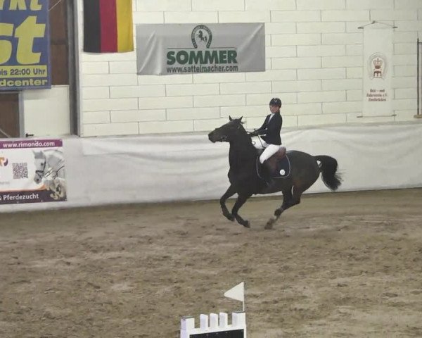 Late-Entry Zweibrücken 2016