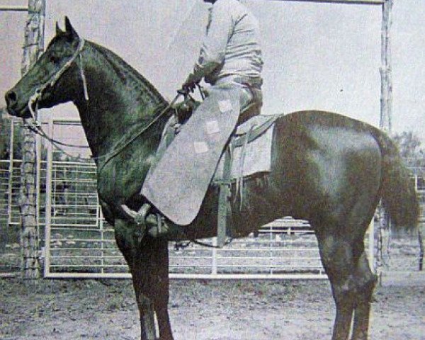 Deckhengst Old Taylor (Quarter Horse, 1947, von King)