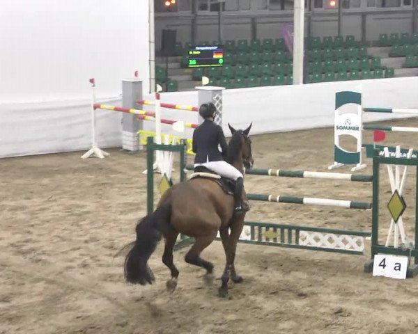 Late-Entry Zweibrücken 2016