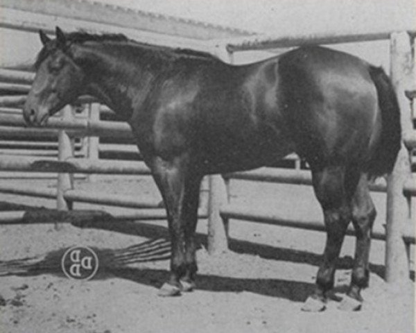 Deckhengst Beaver Creek (Quarter Horse, 1944, von King)