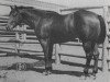 Deckhengst Beaver Creek (Quarter Horse, 1944, von King)