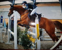 jumper Debora 38 (Bulgarian Warmblood, 2009, from Dubeaux Deloupe)