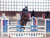 jumper Lord Hagen (Oldenburg show jumper, 2010, from Lordanos)