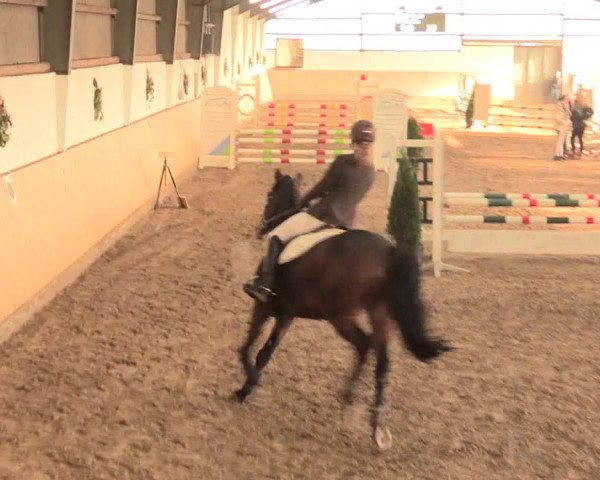 Spring Late-Entry Datteln 2016