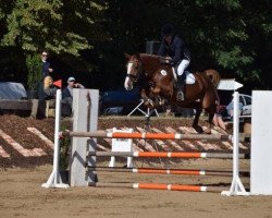 broodmare Cuba Libre R 3 (German Sport Horse, 2013, from Casdorff)