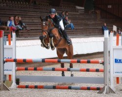 jumper Kicke (KWPN (Royal Dutch Sporthorse), 2015, from Funky)