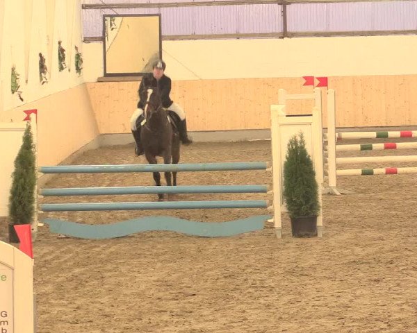 Spring Late-Entry Datteln 2016
