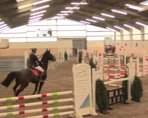 Spring Late-Entry Datteln 2016