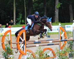 jumper Doolittle 106 (Belgian Warmblood, 1998, from Darco)