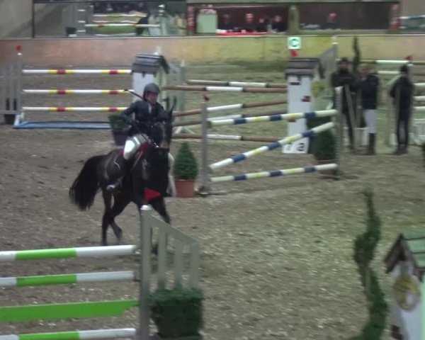 Reitturnier Ratingen-Volkardey 2016