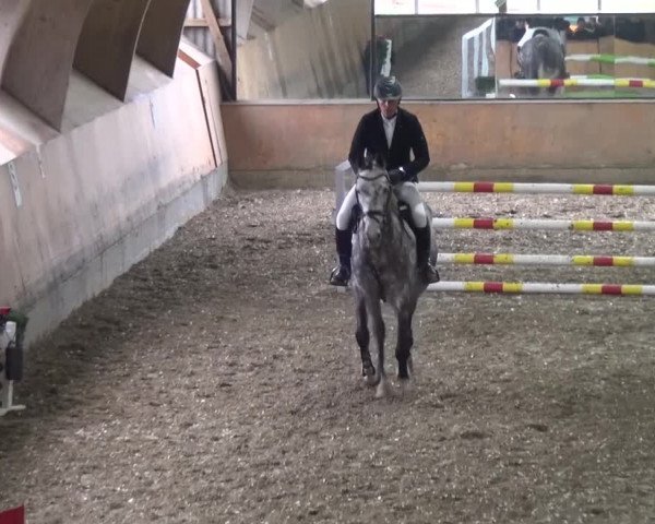 Reitturnier Ratingen-Volkardey 2016