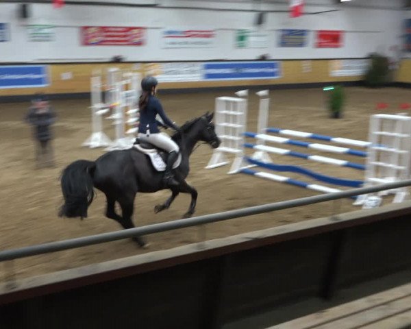 Reitturnier Heide 2021