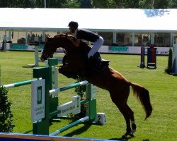 broodmare Cashmere Touch (Mecklenburg, 2008, from Carrico)