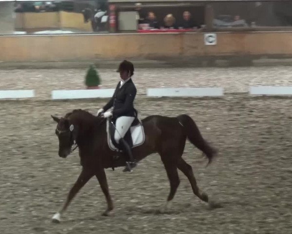 Reitturnier Ratingen-Volkardey 2016