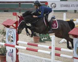 jumper Valentina Cavalli (KWPN (Royal Dutch Sporthorse), 2006)