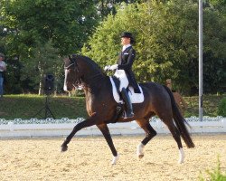 dressage horse Sunset Dream 2 (Bavarian, 2007, from Sir Donnerhall I)