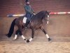 dressage horse Let's Dance 102 (Westphalian, 2011, from Lissaro)