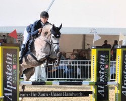 Springpferd Cassolina CH (Schweizer Warmblut, 2013, von Cup Cooper)