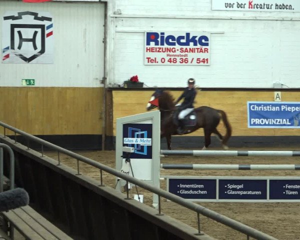 Reitturnier Heide 2021