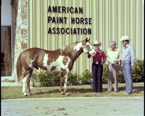 Deckhengst Versary Bars (Paint Horse, 1970, von Painted Robin)