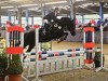 jumper Sandro 316 (German Riding Pony, 1998, from Shaitanx ox)