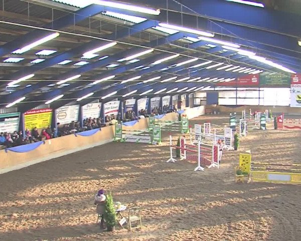 Hallenspringfestival Großenwiehe 2016