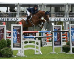 jumper Sandor de La Pomme (Belgium Sporthorse, 2002, from Vigo d'Arsouilles)