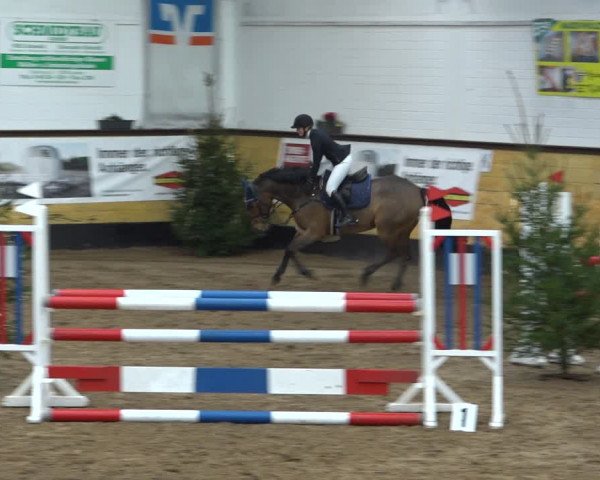 Reitturnier Heide 2021