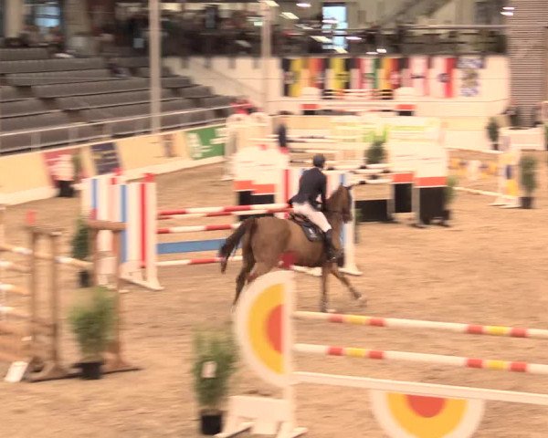 Jugend-Challenge Verden 2016