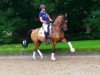 broodmare Miss Miracle (German Riding Pony, 2010)