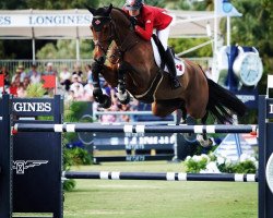 jumper Figor (KWPN (Royal Dutch Sporthorse), 2010, from VDL Groep Zagreb)