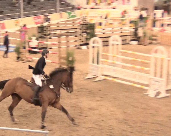 Jugend-Challenge Verden 2016