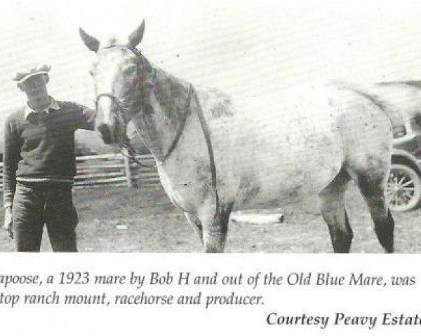 broodmare Papoose (Quarter Horse, 1923, from Bob H)