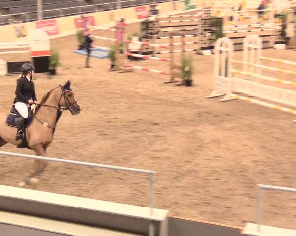 Jugend-Challenge Verden 2016