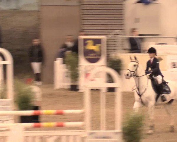 Jugend-Challenge Verden 2016