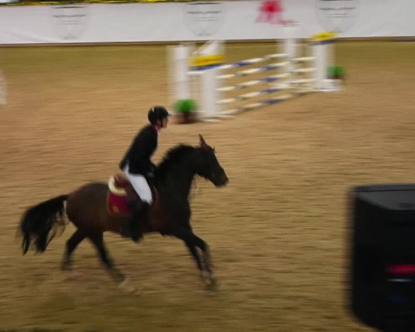 Christmas Jumping Trophy Prussendorf 2021